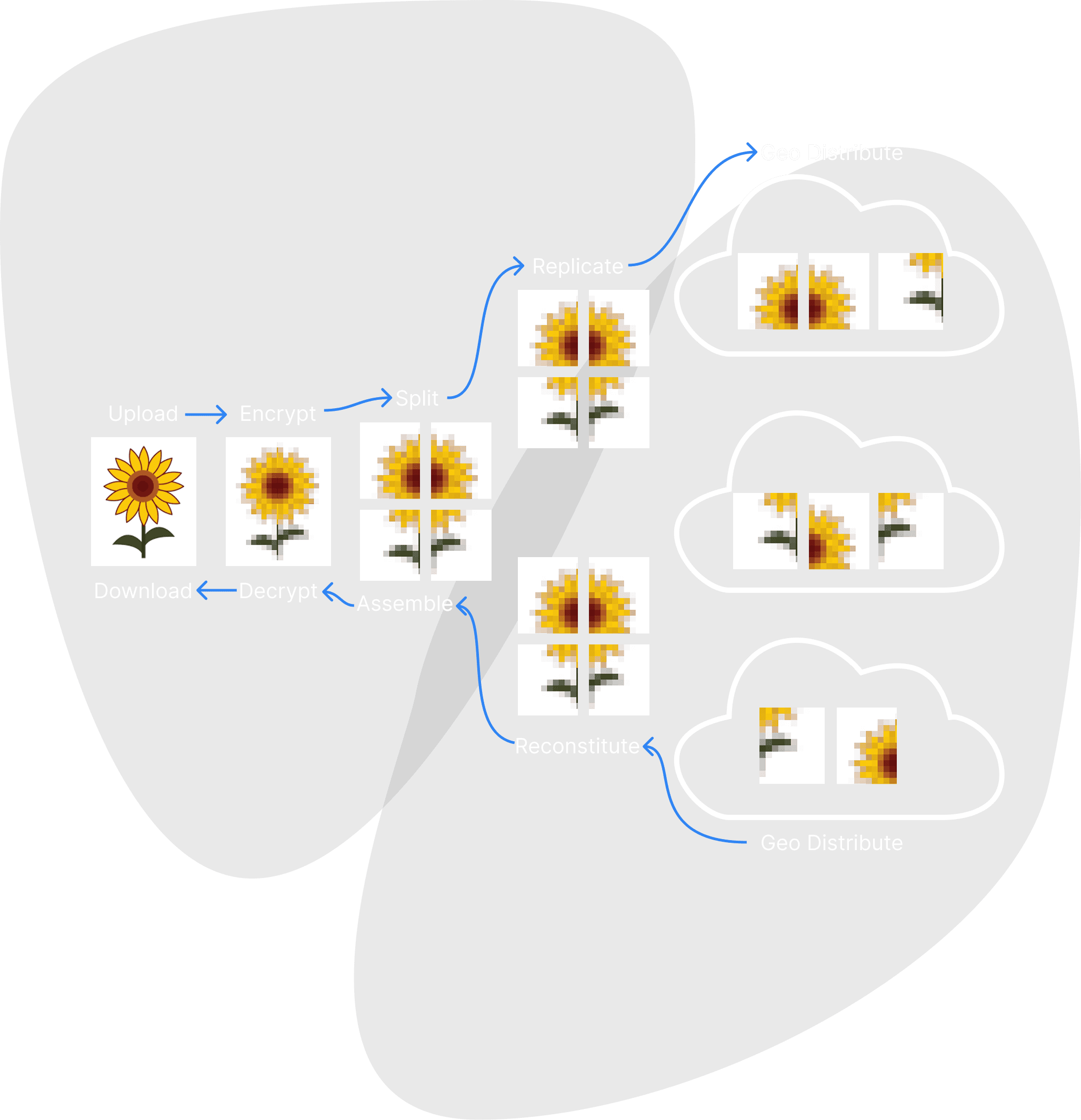 Geo Distribution Process